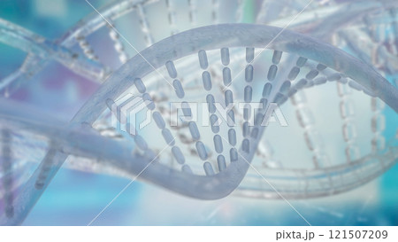 The DNA image for sci or education concept 3d rendering. 121507209