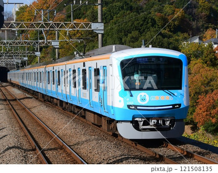 紅葉する木々を背景に走る小田急5000形　5055F　もろん号 121508135