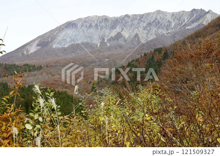 晩秋の鳥取県の大山 紅葉とススキ 晩秋の鳥取県の大山 紅葉とススキ 121509327