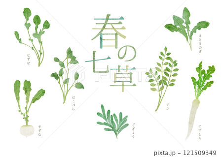春の七草の水彩風イラスト 七草粥 手描き水彩イラスト 春の七草の水彩風イラスト 七草粥 手描き水彩イラスト 121509349