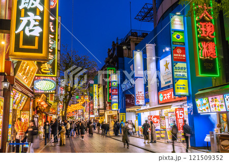 日本の横浜都市景観 2025春節燈花。夜の中華街大通りや龍のランタンなどを望む…希望の未来へ 121509352