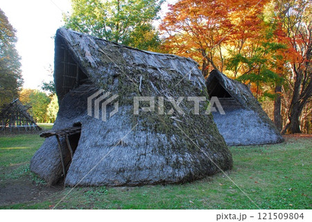 尖石史跡公園内の与助尾根遺跡で推定再現された家屋(長野県茅野市) 尖石史跡公園内の与助尾根遺跡で推定再現された家屋(長野県茅野市) 121509804