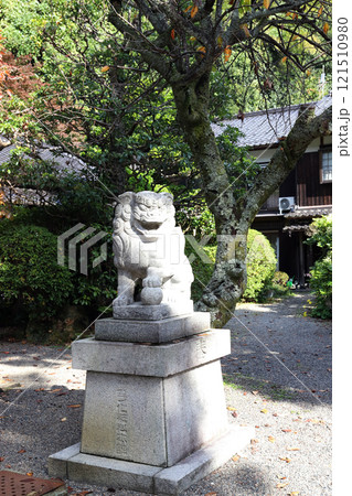 城崎温泉 四所神社（兵庫県 豊岡市） 121510980