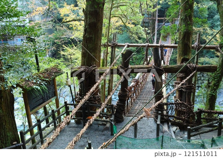 祖谷のかずら橋 ／ 日本三奇橋【徳島県三好市西祖谷山村善徳】 121511011
