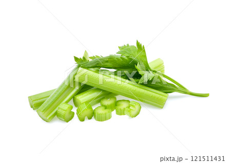 celery isolated on white background 121511431
