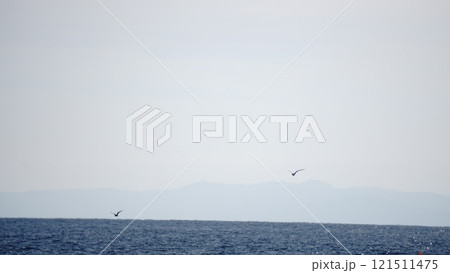 日本海 121511475