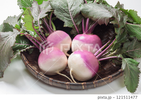 冬の野菜紫色の小カブ(あやめ雪) 121511477