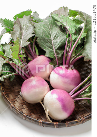 冬の野菜紫色の小カブ(あやめ雪) 121511479