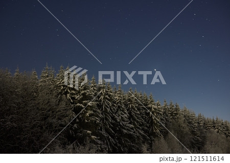 A beautiful, snowy forest landscape beneath a breathtakingly starry night sky awaits exploration 121511614