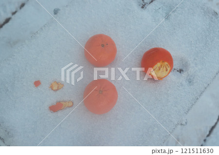 Bright oranges on a snowcovered surface create a stunning, eyecatching visual effect Bright oranges on a snowcovered surface create a stunning, eyecatching visual effect 121511630
