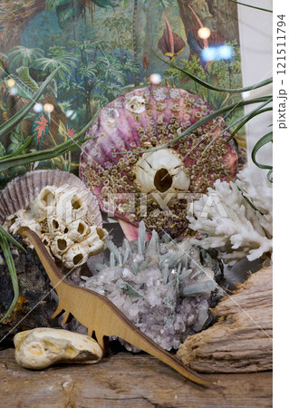 A stunning dinosaur model sits proudly amidst an array of exquisite fossils and marine shells 121511794
