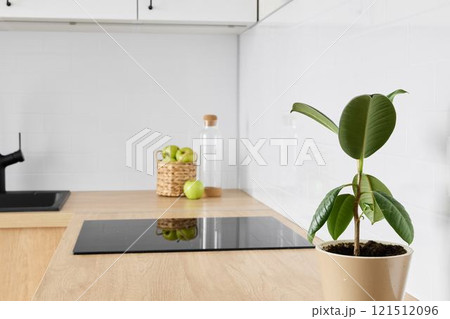 A modern kitchen filled with lovely plants and fresh, healthy ingredients for cooking 121512096