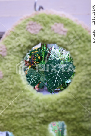 Vibrant Green Leaves Framed Beautifully by a Plush, Rich Texture That Captures Attention Vibrant Green Leaves Framed Beautifully by a Plush, Rich Texture That Captures Attention 121512146