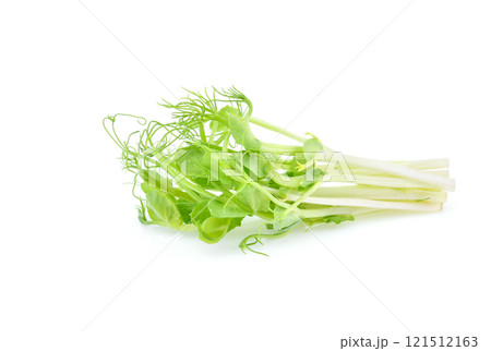 Snow pea sprouts isolated on the white background. 121512163
