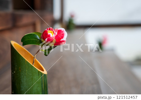 京都市左京区の霊鑑寺の椿を撮影したもの 京都市左京区の霊鑑寺の椿を撮影したもの 121512457