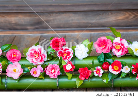 京都市左京区の霊鑑寺の椿を撮影したもの 121512461