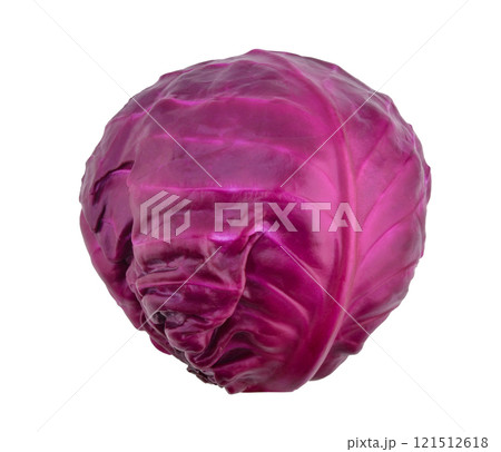 Purple cabbage isolated on white background 121512618