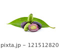 Jambolan plum or Java plum isolated on white background 121512820