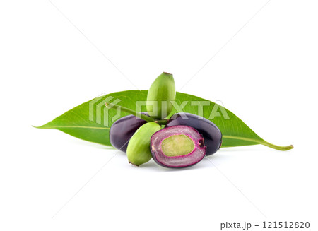 Jambolan plum or Java plum isolated on white background Jambolan plum or Java plum isolated on white background 121512820