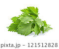 Celery leaves isolated on white background 121512828