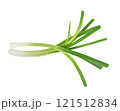 Top view of Green onion isolated on the white background 121512834