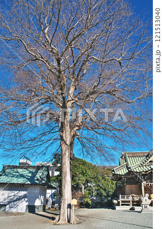 八坂神社（平塚市田村）（冬、十二月） 121513040