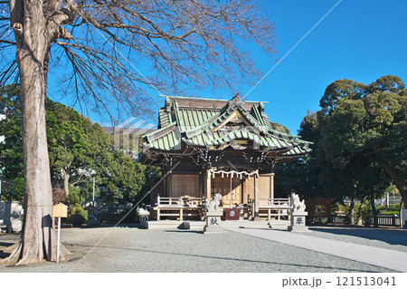 八坂神社（平塚市田村）（冬、十二月） 121513041