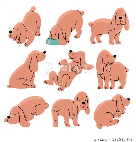 Set of pictures with a cute spaniel dog Set of pictures with a cute spaniel dog 121513472
