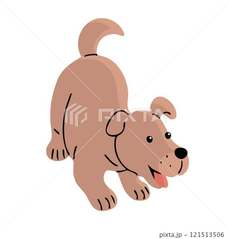 Cute dog on white background Cute dog on white background 121513506