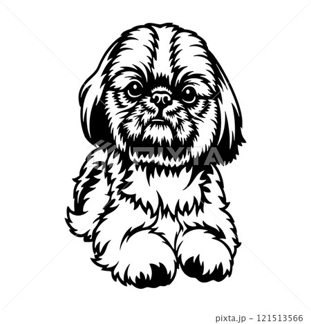 Shih Tzu Dog Breed - Pet Vector Cut file, Dog Silhouette Stencil - Cricut file Shih Tzu Dog Breed - Pet Vector Cut file, Dog Silhouette Stencil - Cricut file 121513566