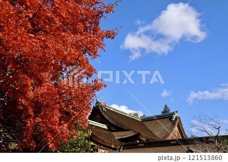 北野天満宮・御本殿（京都・上京区） 121513860