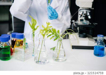 Biologist taking experiment with plants working in biochemistry laboratory. 121514759