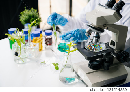 Biologist taking experiment with plants working in biochemistry laboratory. Biologist taking experiment with plants working in biochemistry laboratory. 121514880