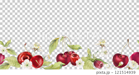 Sweet sour red cherry with white flowers, green leaves, hand drawn in watercolor, berry in clusters on branches. Seamless banner garland illustration for restaurant, cafe menu, wedding, farmers market 121514939