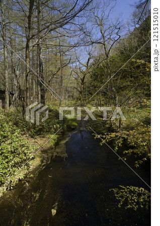 川辺の静寂 – 水と自然が織りなす癒しの風景 121515010