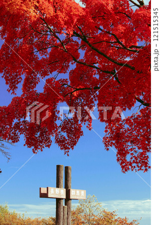 軽井沢　見晴台 121515345