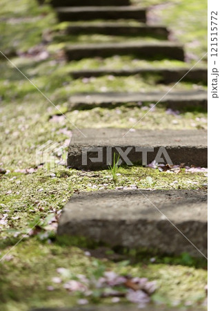 神社境内の中庭にある石の階段　春の庭 121515772