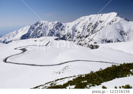 立山黒部アルペンルート　春景色 121516156