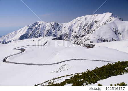 立山黒部アルペンルート 春景色 立山黒部アルペンルート 春景色 121516157