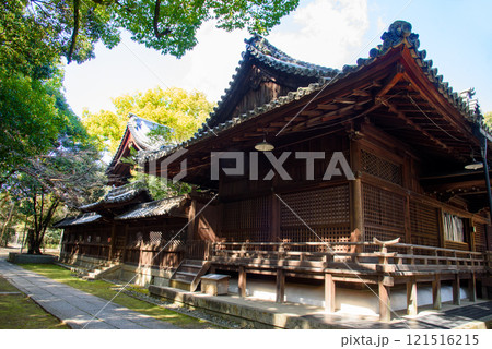 京都　向日神社の本殿 121516215