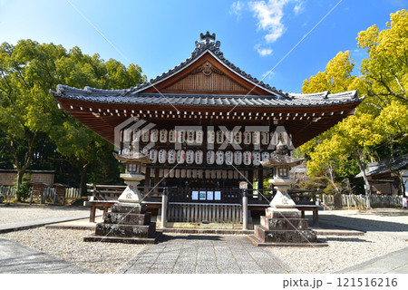 京都　向日神社の社殿 121516216