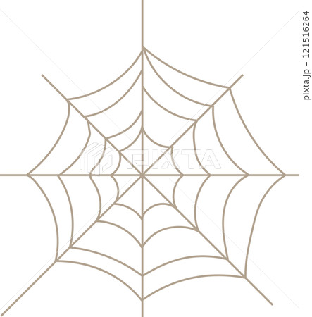 クモ 蜘蛛 スパイダー 121516264