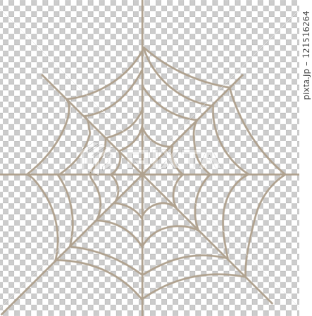 クモ 蜘蛛 スパイダー 121516264