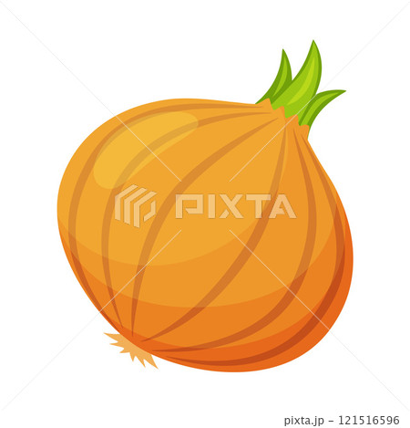 onion vegetable for cooking meals. A bright element isolated on white for design.  121516596