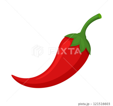 chili pepper vegetable for cooking meals. A bright element isolated on white for design.  121516603