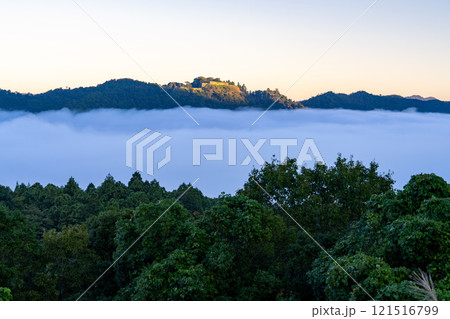 【日本100名城】秋の雲海に浮かぶ津和野城跡9 島根県鹿足郡津和野町 【日本100名城】秋の雲海に浮かぶ津和野城跡9 島根県鹿足郡津和野町 121516799
