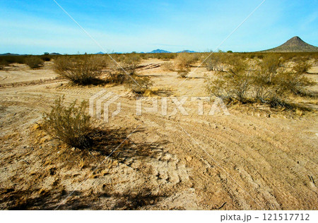 Film Image Sonora Desert Arizona Film Image Sonora Desert Arizona 121517712