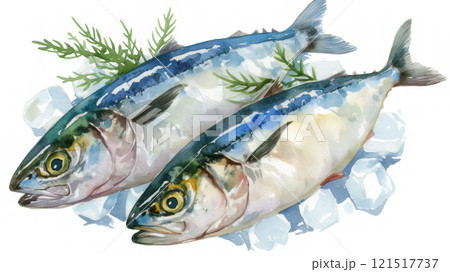 水彩で描いた鯖 121517737
