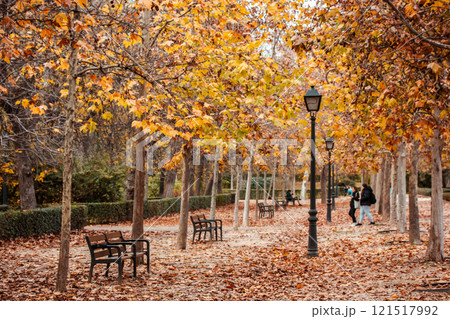Tranquil alley Trees with yellowed foliage on the branches. Brown fallen leaves lying on a ground. Walk in autumnal park in a fall Bench and lamp post 121517992