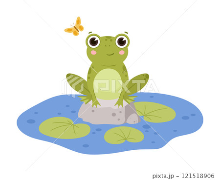 Frog sitting in pond. Cartoon amphibia on rock, green toad in natural habitat, cute froggy water animal flat vector illustration. Green frog character Frog sitting in pond. Cartoon amphibia on rock, green toad in natural habitat, cute froggy water animal flat vector illustration. Green frog character 121518906